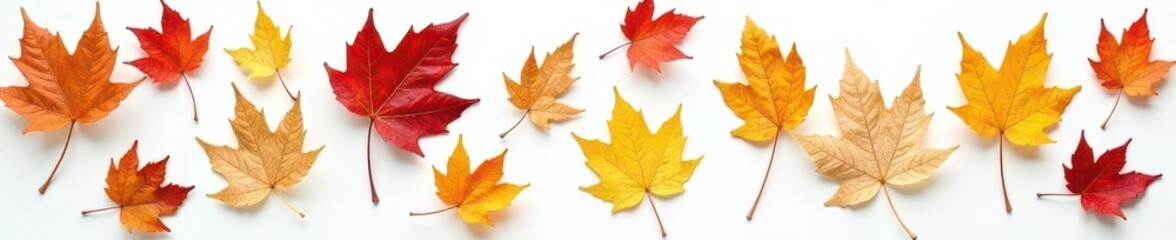 Fototapeta premium Dried bay leaves scattered on pristine white background, top view, object