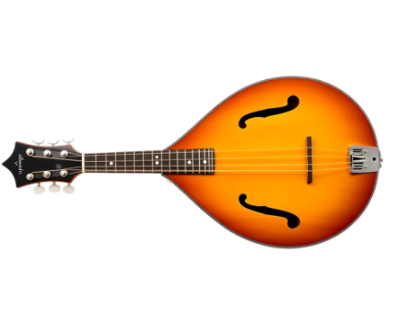 Acoustic mandolin with f-holes, strings, and wooden body
