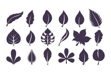 Leaf Silhouette Vector Collection. Diverse Leaf Shapes for Eco-Friendly Branding, Botanical Illustrations, Educational Resources, Art Designs and Nature, Inspired Decor