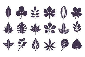 Leaf Silhouette Vector Collection. Diverse Leaf Shapes for Eco-Friendly Branding, Botanical Illustrations, Educational Resources, Art Designs and Nature, Inspired Decor