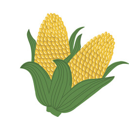 Obraz premium Vector of a two corn