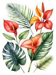 Obraz premium Tropical arrangements with red anthurium, strelitzia, heliconia flowers and palm leaves. Watercolor illustration on white background.