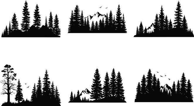 silhouette  forest treelined  pine trees 