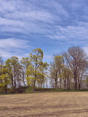 Fototapeta premium The cultural landscape of Toten, Norway, in April 2025.