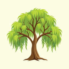 Stylized cartoon illustration of a weeping willow tree with full foliage © SharikaShammi