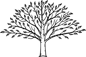 Obraz premium Simple and Clean Birch Tree Outline