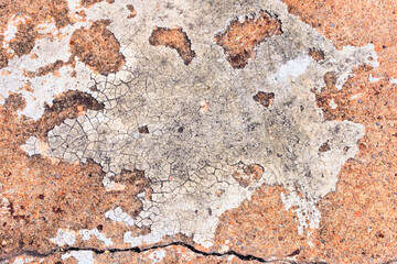 old wall texture
