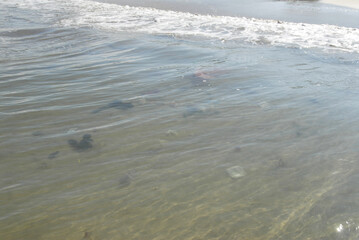 Environmental impact of new year celebrations on bali beach: marine pollution and waste management