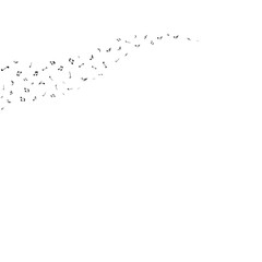 Rhythm of Music Pattern