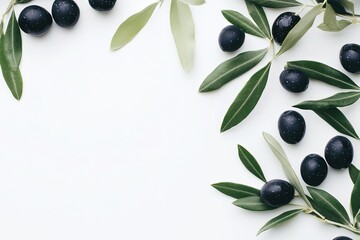 Close-up of olives with olive leaves