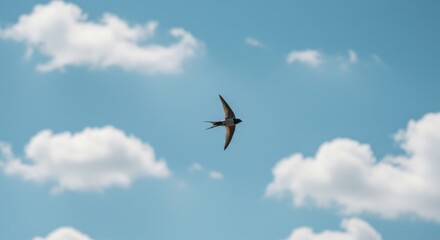Bird flying in a cloudy blue sky