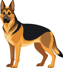 German Shepherd