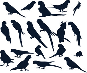 Parrot sitting bird silhouettes set illustration in flat style, suitable for print, digital, or logo use.