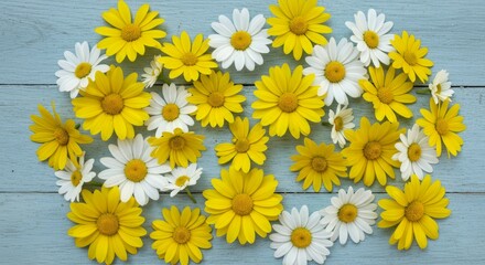 Yellow and White Daisies on Blue Wood Background