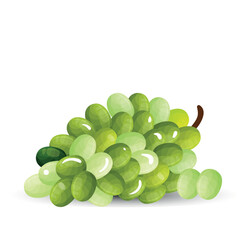 Fresh Cluster of Green Grapes with Vibrant Colors and Natural Texture Perfectly Captured on a Clean Background – Ideal for Healthy Eating and Culinary Inspiration