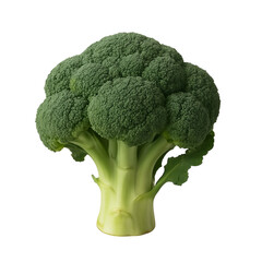 Fresh Green Broccoli on White Background &ndash; Healthy Organic Vegetable for Diet and Cooking.