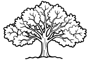 Rustic Oak Tree Outline Illustrations