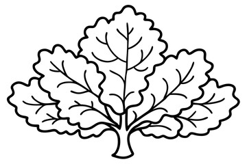 Obraz premium Rustic Oak Tree Outline Illustrations