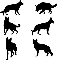 dog german shepherd set black silhouette on white background, vector