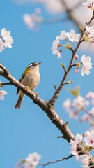 Bird Perched on a Branch Among Cherry Blossoms