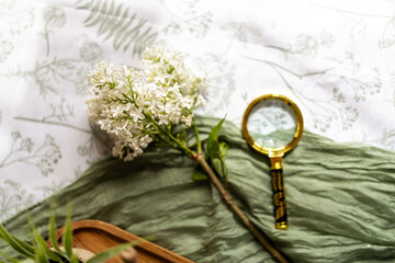 White lilac flowers under a magnifying glass on a textured green fabric. A botanical exploration...