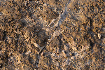 Background of stone wall texture photo