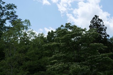 多摩動物公園の風景