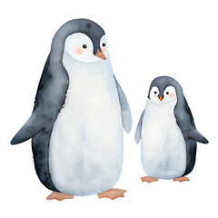 Watercolor illustration of two penguins, adult and chick on transparent background.