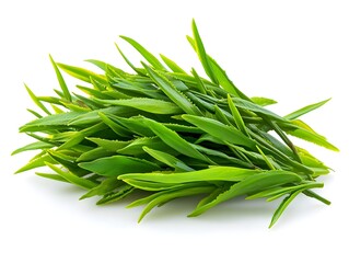 Fototapeta premium A vibrant bunch of fresh green tea leaves is perfectly isolated on a pure white background ready for use.