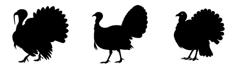 Turkey Silhouette Illustration in Black on White Background