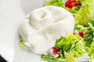 Burrata cheese salad buffalo milk cheese salad dish fresh delicious gourmet food background on the table rustic food top view copy space keto and paleo diet vegetarian