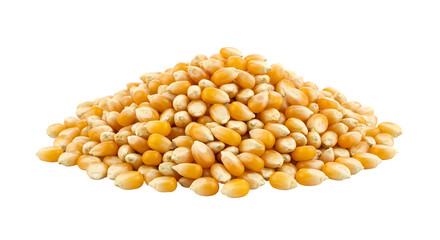 High-Quality Image of Yellow Popcorn Kernels Ready to Pop on transparent background