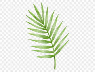 Green palm leaf illustration representing tropical paradise, beach vacations, and summer relaxation with fresh watercolor touch.vector © Only Flags