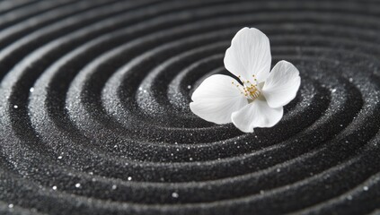 White flower on dark sand with concentric circle pattern for zen garden.