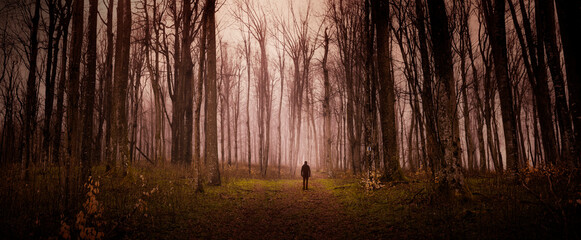 mysterious halloween forest landscape with man silhouette