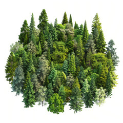 Fototapeta premium A forest of trees with varying shades of green, creating a sense of depth and dimension.