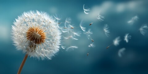 A fluffy dandelion seed head stands against a vibrant blue sky, its delicate seeds drifting away in a gentle breeze, with sunlight shining from the upper right and a softly blurred background.  