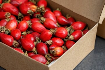 Rosehip dried healthy vitamin berry superfood in a box in a minimalist design high quality