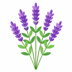 Fototapeta premium bouquet of flowers