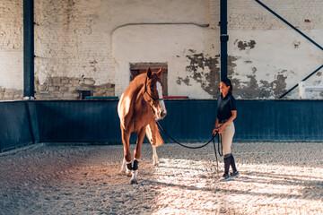Horsewoman leading chestnut horse in indoor riding arena