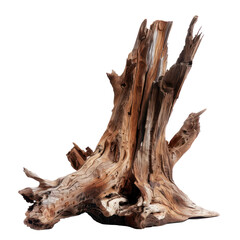 Dead driftwood tree stump isolate on transparent background