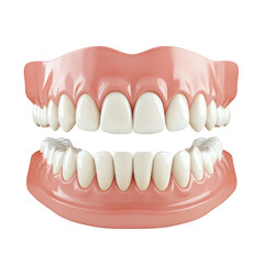 Obraz premium A close-up image of dentures, displaying a set of upper and lower dental prosthetics. The dentures feature realistic looking teeth.