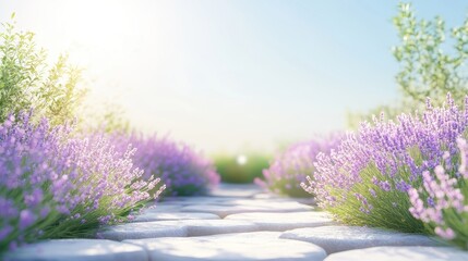 Obraz premium Serene nature scene, vibrant blooming flowers lining a tranquil pathway, bright sunlight creating a peaceful atmosphere.