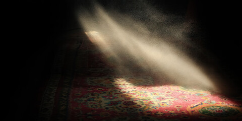 Dust Motes Illuminated on a Pink Rug