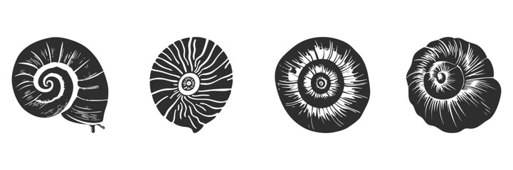 Snail And Ammonite Shell Silhouette Set. Nautical And Fossil Theme For Nature And Marine Life. Isolated Vector Illustration Collection