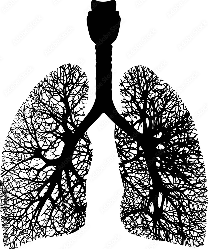 Poster silhouette of lungs as a tree with branches and roots, concept of nature. vector illustration
