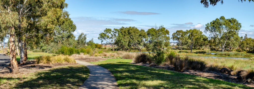Curved pedestrian footpath through native parkland and wetlands in Manor Lakes, Melbourne, Australia&mdash;a sustainable suburban design and community-oriented green space.