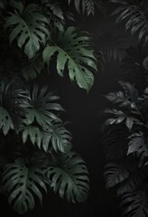 Dark, lush tropical leaves, vines, shadows, black background ,  silhouette,  plant