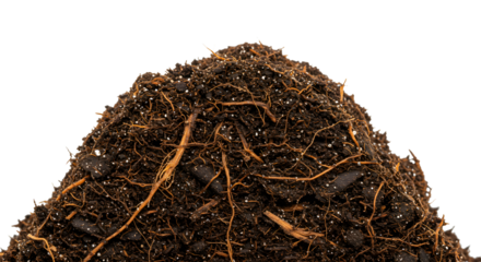 Humus soil pile isolated on white background for gardening and agricultural use