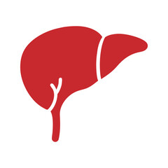 liver vector icon on white background
